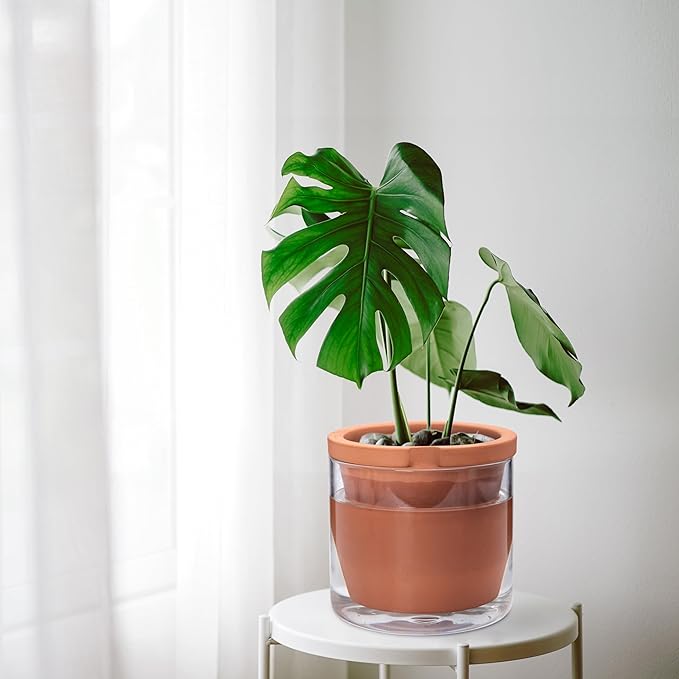 D'vine Dev 8 Inch Design Self Watering Pot for Indoor Plants, Terracotta Planter with Cylinder Glass Cup, Set of 1, 37-X-C-1