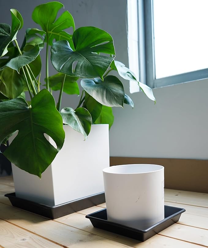 Square Plant Saucer 5 Pack 8 10 12 14 16 18 20 Inch, Flower Pot No Holes Plant Drip Trays, Plant Trays for Pots Heavy Duty Plastic Plant Saucers for Indoors Outdoors