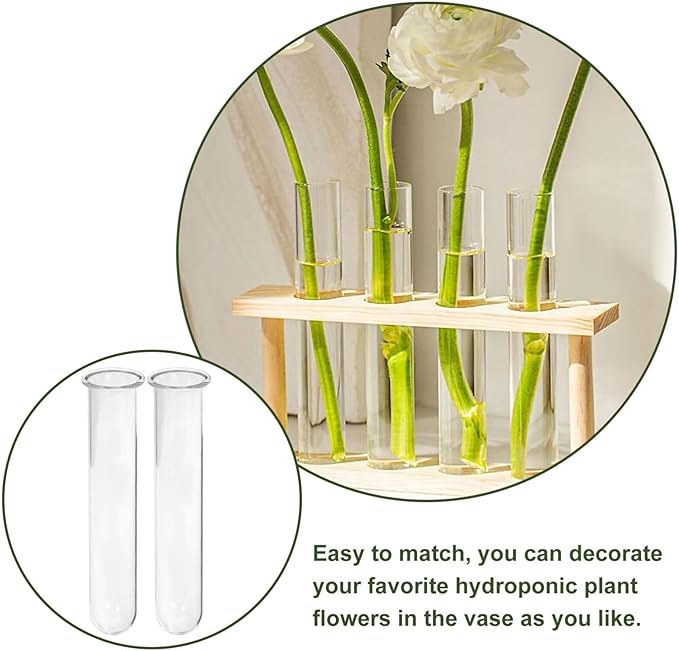 Alipis 4pcs Glass Propagation Stations Accessories Glass Test Tubes Tiered Planters Wall Terrarium for Home Office Plant Hanger Flower Vases Wall Decor Hydroponic Cuttings