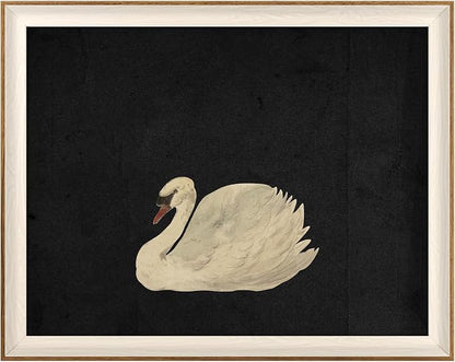 VIYYIEA Framed Wall Art for Living Room, Animal-【Zwaan】, 20L x 16W by VIYYIEAART