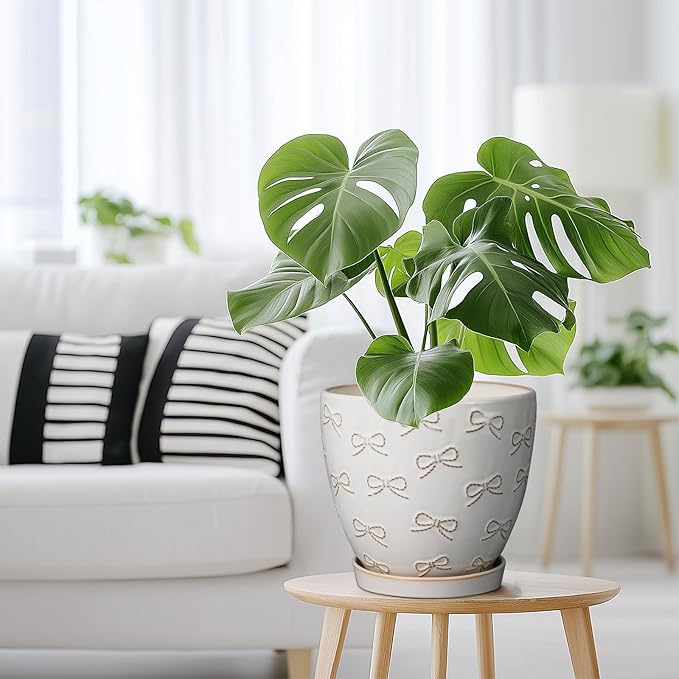 Ceramic Pots for Plants - 8 Inch Plant Pot with Drainage Hole and Saucer Large Planter Pot for Indoor Plants Outdoor Modern Flower Pot Home Decor White