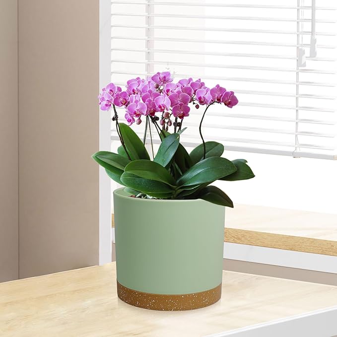 3 Pack 6/5/4 inch Cylindrical Flower Pots, Modern Small Round Plastic Plant Pots with Drainage Holes & Saucers, Clean and Refined Planter Pots for Outdoor, Indoor & Office Decor (Green Brown)