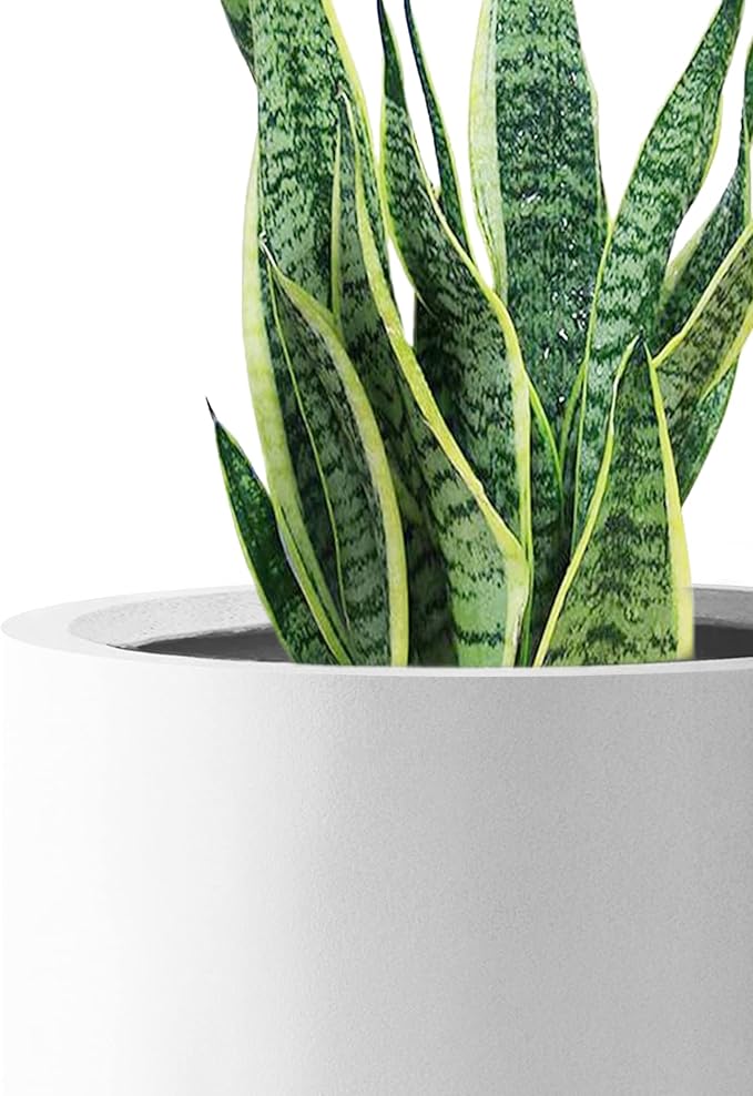Kante 9.8" Dia Round Concrete Planter, Modern Style Large Cylindrical Plant Pot with Drainage Hole and Rubber Plug for Indoor Outdoor Patio, Pure White