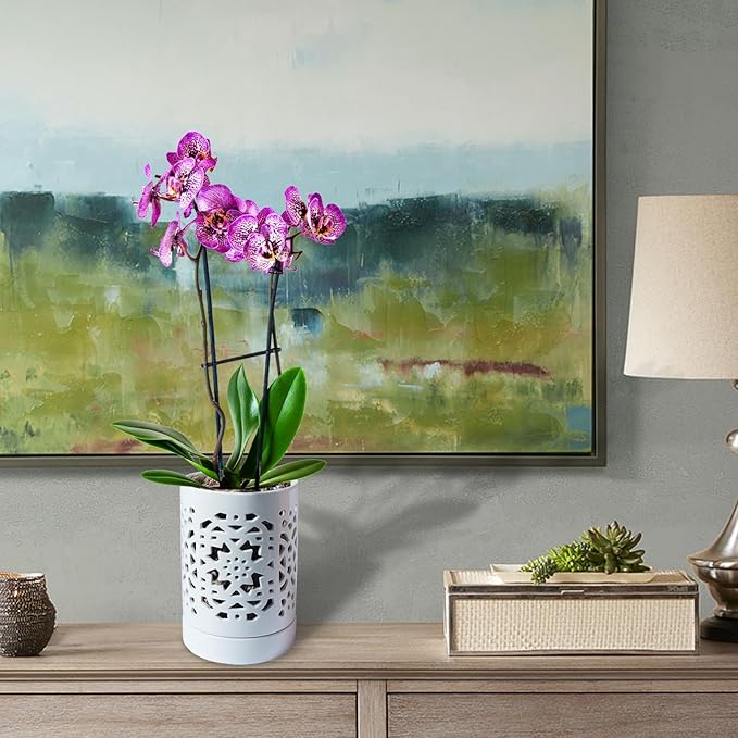 Orchid Pot 4 Inch, Orchid Pots with Holes & Saucers for Repotting Orchid, Breathable Slotted Flower Plant Nursery Pot White