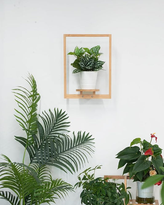 yadoker Wall Planters for Indoor Plants,Bamboo Hanging Plant Holders, Wall Decor Plant Stand, 1-Pack Window Plant Shelves for Living Room & Entryway