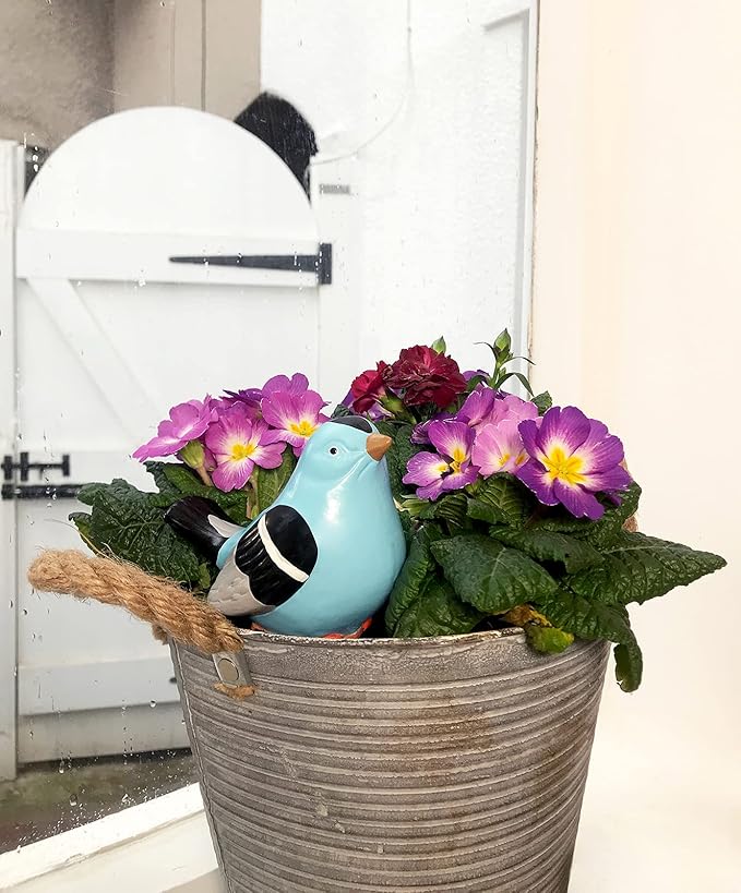 Terracotta Plant Self Watering Spikes - Set of 3 Terracotta Self Watering Bulbs, Self Watering Stakes, Self Watering Globes for Pot Plants (Birds Painted, Large)