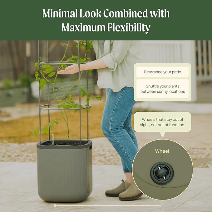 Vego garden Self Watering Pots Home Planters with Water Gauge for Effortless Indoor Plants Cream White