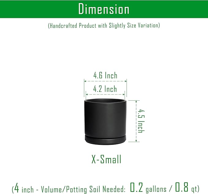 D'vine Dev Set of 2 Plants Pot, 4.6 Inch Ceramic Planter Pot for Plants with Drainage Hole and Saucer, Black, 94-V-B-2