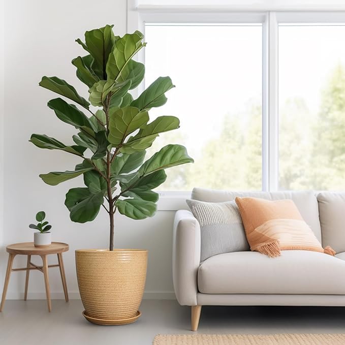 Ceramic Plant Pot 12 Inch - Large Planter for Indoor Plants Outdoor Flower Pot with Drainage Hole and Saucer Round Decorative Planter for Home Patio Garden Balcony Yellow