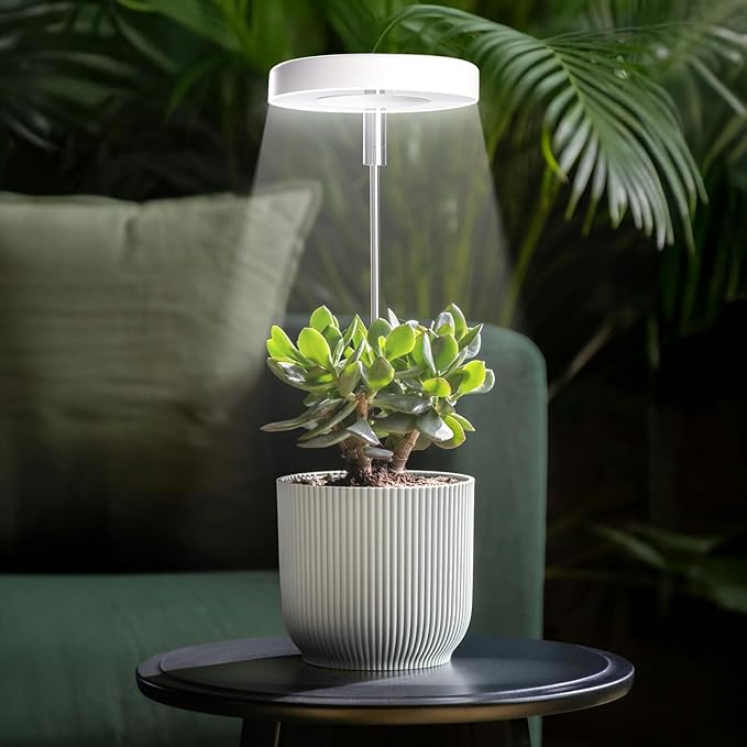 Grow Lights for Indoor Plants Small Potted - Full Spectrum, Auto 3/9/12H Timer, 10-Level Dimming & Adjustable Height - Compact Grow Light for Succulents, Herbs, Foliage in Home/Office (White,3PACKS)