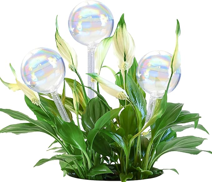 Large Plant Watering Globes, 3PCS Iridescent Rainbow Gradient Color Clear Glass Bulbs Self Watering Spikes Planter Insert, Automatic Plant Waterer Bulbs Devices for All Plants, 9" L * 2.75" D