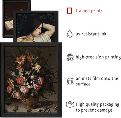 ANERZA 16 PCS Framed Dark Academia Room Decor, Gothic Home Decor, Moody Wall - Image 3