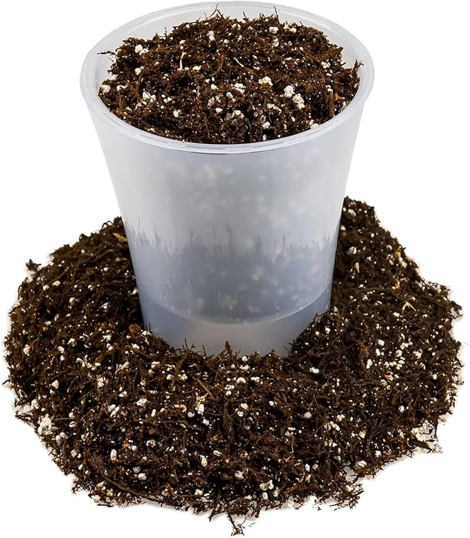 Fern + Perlite Soil Mix for Repotting and Planting Succulents and Cactuses - 1 Quart Bag