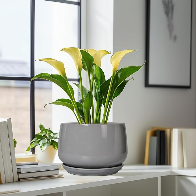 G EPGardening Ceramic Plant Pots - 9 Inch Modern Round Planter with Drainage and Plant Saucer for Indoor Outdoor Flower, Apartment Decor, Birthday Gifts, Grey