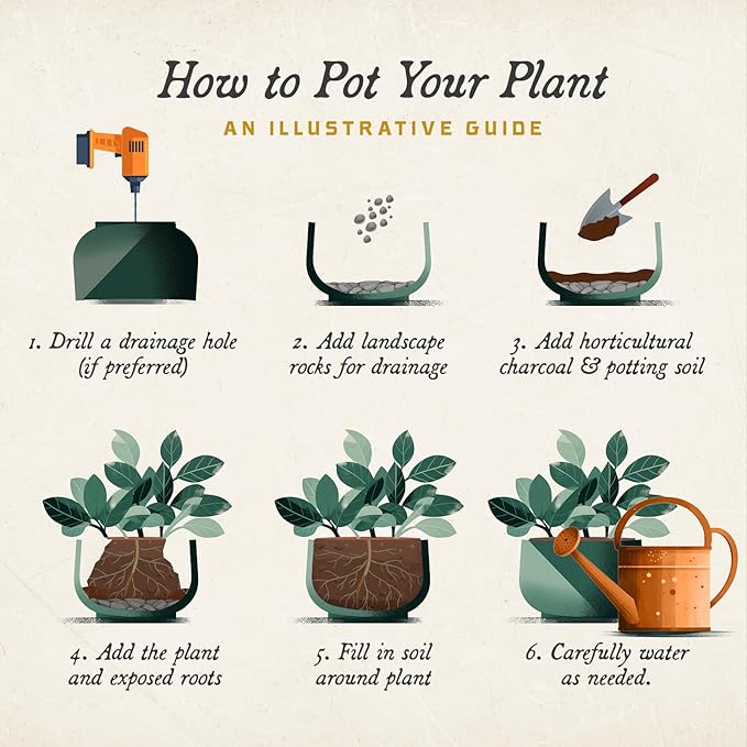 ARBORA 21" Santorini Bowl Polyresin Indoor and Outdoor Planter with Stone Blend Concrete Gray Finish - Durable, Weatherproof, Lightweight, Large Plant Pot for Patio, Garden, Deck, Entryway