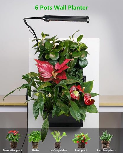 Wall Planters for Indoor Plants - Image 2