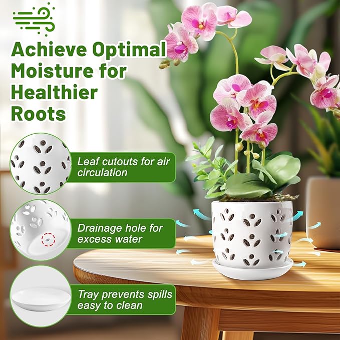REMIAWY Orchid Pot, 2 Pack Orchid Pots with Drainage Holes and Saucer, 6 Inch and 5 Inch Large Ceramic Planter for Repotting Indoor Plants, Succulent, Decorative, Good Air Circulation, White