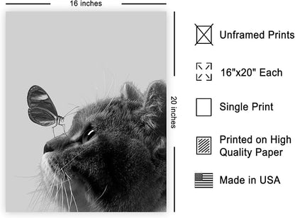 Poster Master Butterfly on Cat Poster - Image 2
