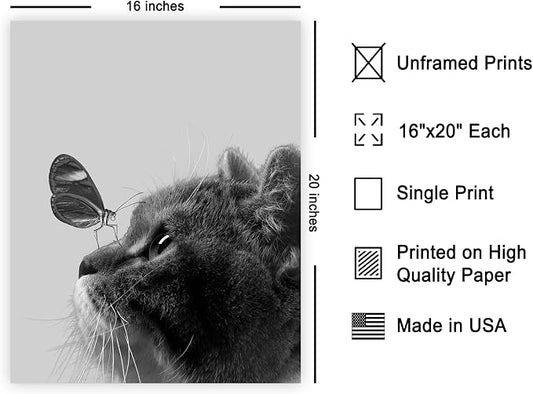 Poster Master Butterfly on Cat Poster - Image 2