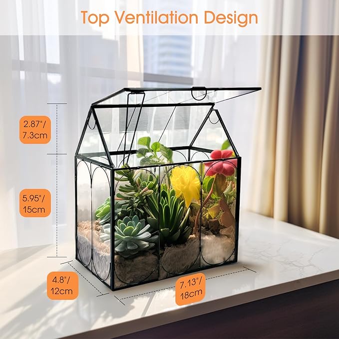 Plant Terrarium Jar, Rifny Indoor House Shape Glass Terrarium Planter with Lid for Venus Fly Trap Succulent Live Air Plants, Small Terrarium Decor for Home Office (Without Plants)