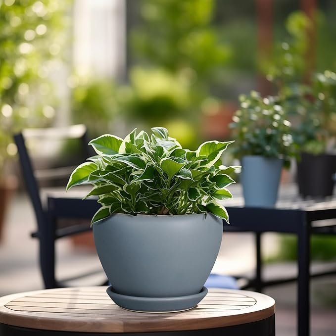 Ceramic Pot for Plants - 6 Inch Plant Pot Indoor with Drainage Hole and Saucer Decorative Planter for Outdoor Plants Modern Succulent Pot Round Flower Pot Gray