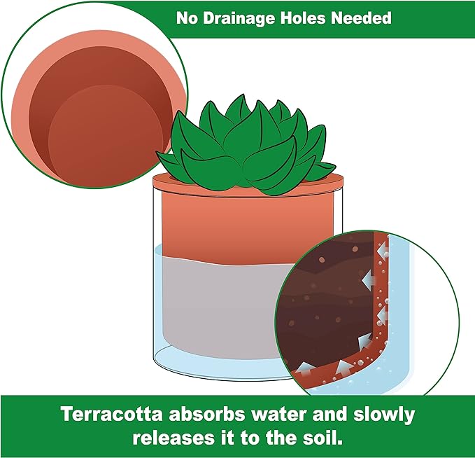 Phoenix Vine 4 Inch Self Watering Plants Pot, Design Terracotta Pot for Plants, Indoor Cylinder Terra Cotta Planter with Glass Vase, Set of 2, 51-A-E-2