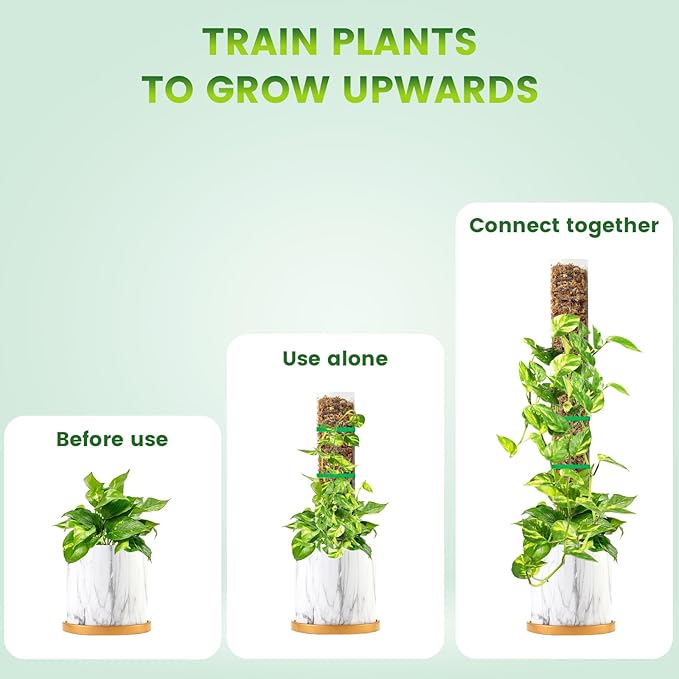 15 Inch 4 Pcs Plastic Moss Pole for Plants Monstera, 4×15'' Plant Poles for Climbing Plants, Plant Support for Indoor Plants Work with Sphagnum Moss