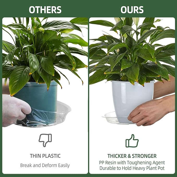 BORPEIN Plant Saucer (6,8,10,12inch, 24 Pack) Clear Plastic Plant Trays for Pots Indoors Outdoors, Thicker Flower Pot Saucers, Plant Plate to Catch Water