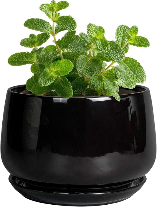 G EPGardening Small Ceramic Planter - 4 Inch Succulent Pots with Drainage Hole & Sacuer, Flower Pots for Indoor Outdoor Plants, Modern Decorative Round Planter, Room Decor, House Warming Gifts, Black
