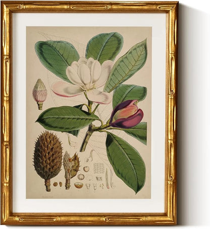 InSimSea Gold Bamboo Framed Canvas Wall Art, Retro Nature Magnolia Botanical by InSimSeaArt