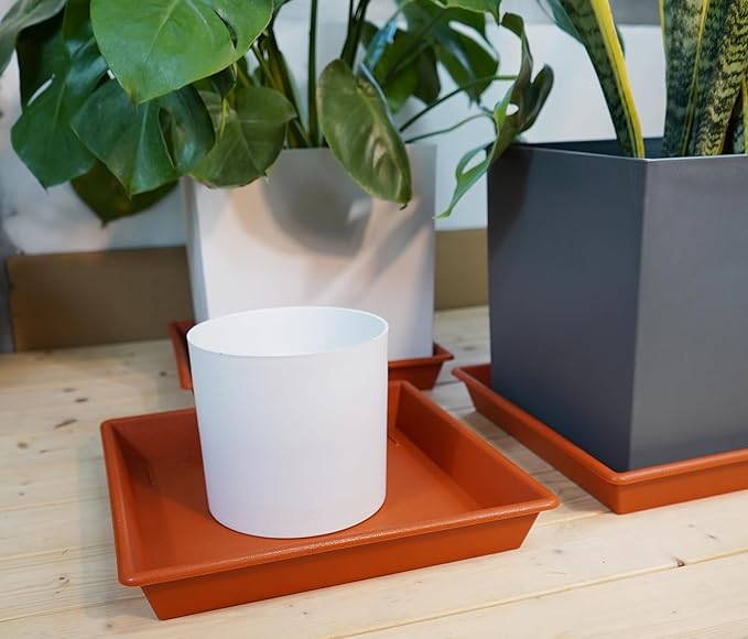 Square Plant Saucer 16 Inch 5 Pack, Plant Stand Plant Trays for Pots Heavy Duty Plastic Plant Saucers for Indoors Outdoors, No Holes Terracotta Plant Lover Gardening Gifts