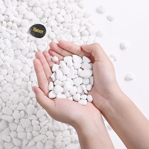 SIDONG 5 LB White River Rocks, 0.3-0.5 Inches Matte Pebbles for Indoor Plants, Aquarium Rocks Used in Fish Tank, Decorative Stones for Plants, Vases, Home Décor, Crafting, Garden Landscaping