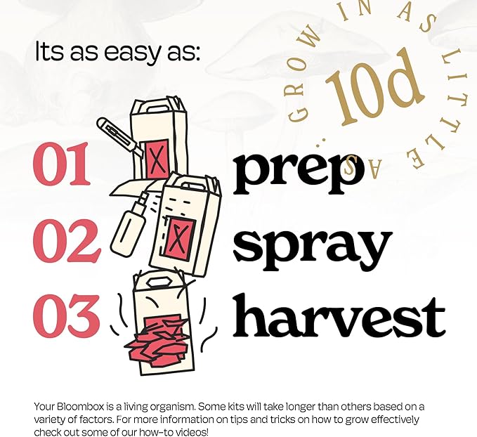 Pink Oyster Mushroom Grow Kit, Grow Your Own Fresh Gourmet Mushrooms at Home, Includes Instructions and Recipes (Pink Oyster)