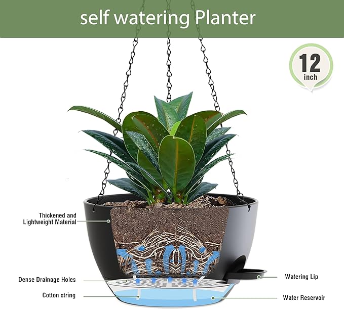 12 Inch Hanging Baskets 2 PC with Chains, Self-Watering Hanging Planters for Indoor Outdoor Plants, Plastic Hanging Flower Pots,Black