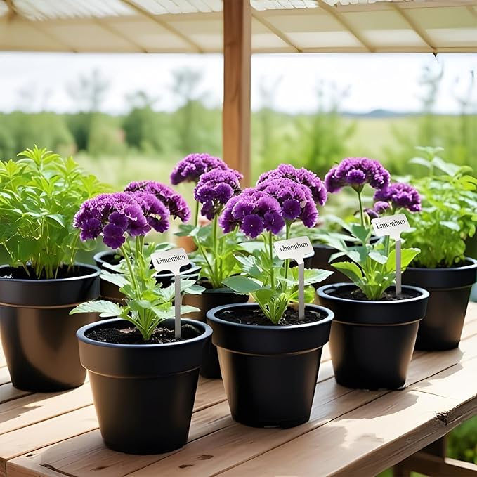 Stainless Steel Plant Labels, Metal Waterproof Plant Markers,Height 12.75 in, Label Area 2.5 in*1.25 in resuable Nursery Tags for Vegetables herb Flower Seed Green House- 20-Pack