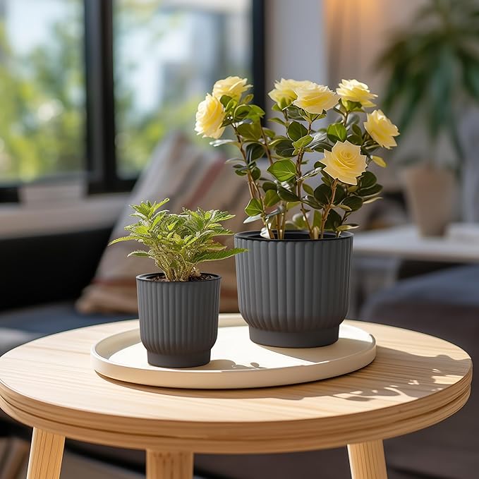 T4U African Violet Pots, 4 Inch Self Watering Pots for Indoor Plants, 6 Pack Small Planters, Durable Charcoal Gray Plastic Small Pots for Indoor Plants, Flower