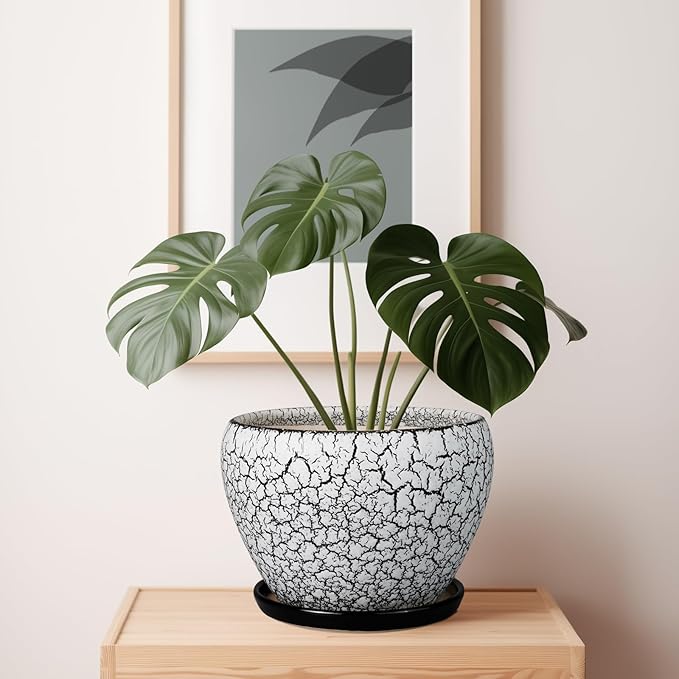 Ceramic Planters for Indoor Plants - 10 Inch Plant Pot with Drainage Hole and Saucer, Large Flower Pot for Home Decor, White/Black
