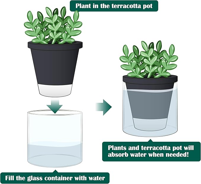 D'vine Dev 4 Inch Design Self Watering Planter for Indoor Plants, Black Terracotta Pot with Cylinder Glass Cup, Set of 4, 37-Z-A-3-F