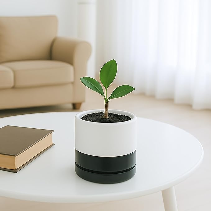 D'vine Dev 4.6 Inch Ceramic Planter Pot with Drainage Hole and Saucer, Indoor Cylinder Round Planter Pot, Layered Monochrome Black & White, 94-O-B-L