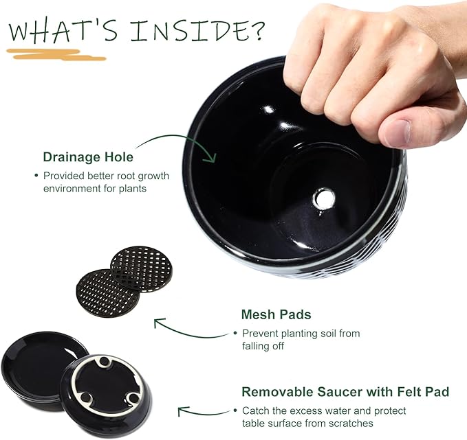 Sureasy Succulent Pots, 3.5 Inch Flower Pots for Indoor Plants, Small Plant Pots with Saucer & Drainage, Decorative Ceramic Planters for Succulent, Cactus, Set of 4, Black