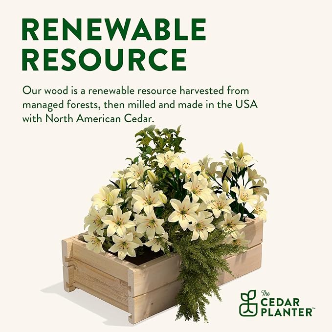 Greenes Fence Cedar Wood Planter Box with Wall Mount Brackets, 21" x 11" x 7" (2-Pack) - Made in USA with North American Cedar