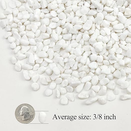 5lbs White Pebbles for Indoor Plants, 3/8inch Small Rocks for Succulent Cactus Planters, Natural Polished Pebbles, River Rocks for Plants, Vases, Garden