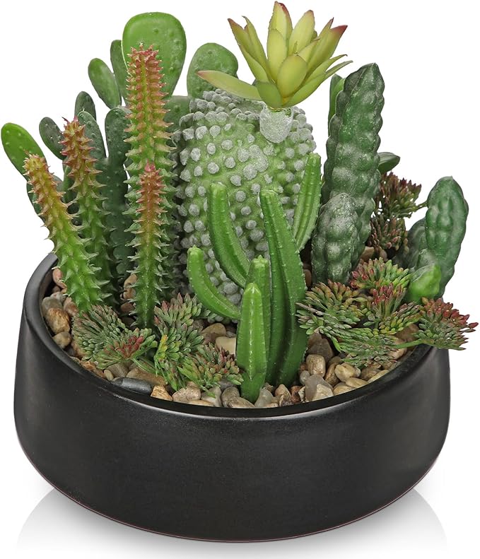DILATATA Artificial Cactus Plants in Pot 5.5 Inch Fake Succulents Arrangement Potted Plant in Black Ceramic Planter Bowl for Home Office Desk Shelf Living Room Bedroom Bathroom Decor