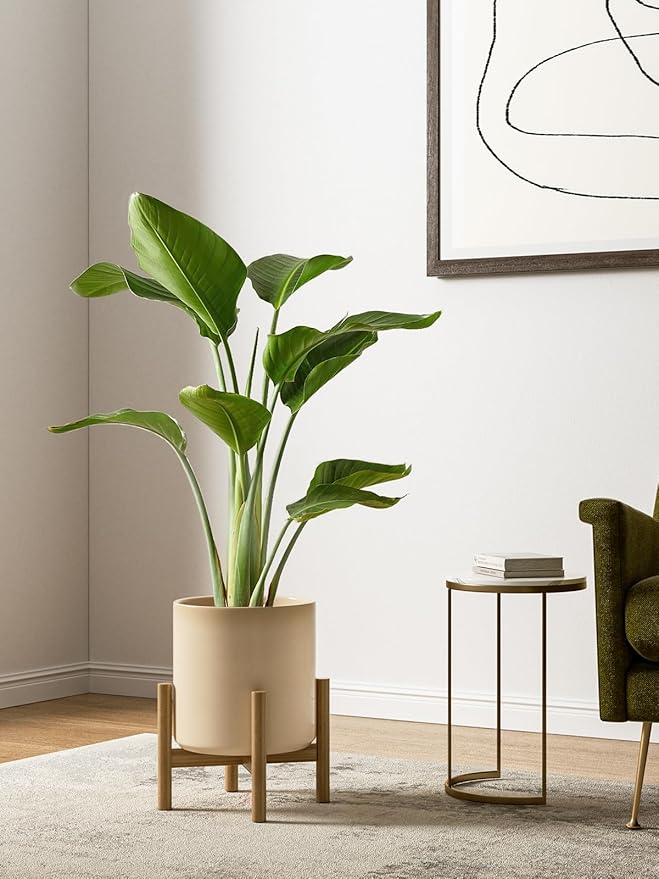 LE TAUCI Large Plant Pots Set, 10/8/6 Inch Ceramic Planters for Indoor Plants, Mid-Century Modern Planter Pots with Drainage Hole and Plug, Round Planter Pots, Set of 3, Reactive Glaze Cloud Cream