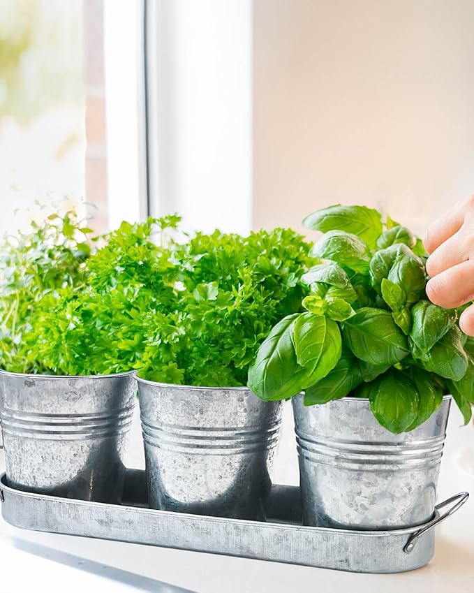 vensovo Indoor Herb Planter Set - Galvanized Windowsill Garden Pots with Tray & Drainage, Set of 3 Metal Window Planters for Kitchen & Outdoor Use, Silver