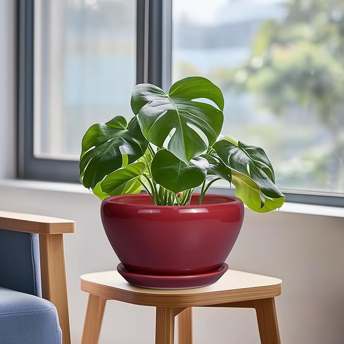 Ceramic Plant Pot 9 Inch - Planter Pot with Drainage Hole and Saucer, Round Large Planter for Indoor Plants, Outdoor Flower Pot for House Patio Decor, Red