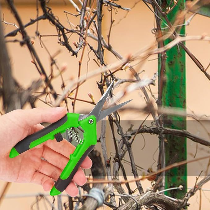 15 Pack 6.5 Inch Green Garden Pruning Scissors, Stainless Steel Blades Hand Pruner, Sharp Point Gardening Shears Cutter, A Must-have Gardening Pruning Shear, Supplies & Accessories