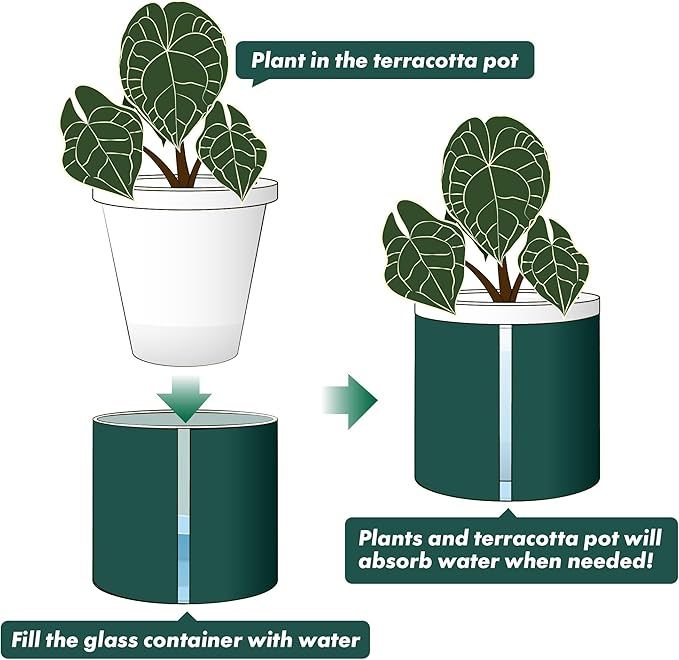 D'vine Dev 6 Inch Design Self Watering Planter for Indoor Plants, White Terracotta Pot with Teal Cylinder Glass Cup, Set of 2, 37-Y-B-5