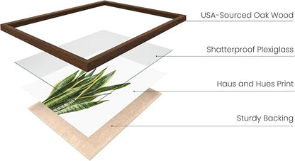 HAUS AND HUES Plant Photo Set of 4-16x20 Framed Walnut - Image 2