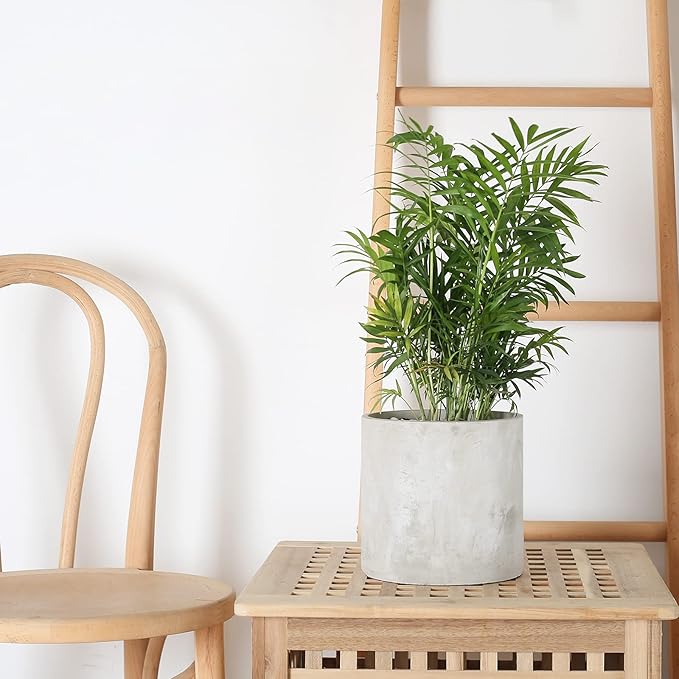 Plant Pots - 6.7 inch Cement Planters Indoor - Modern Grey Flower Pot with Drainage Hole - Home Office Decor
